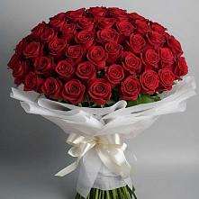 Букет 101 Красная роза Блэк Мэджик #REPLACE_PRED# Аржановской