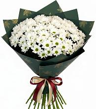 Букет цветов из:  Хризантемы #REPLACE_PRED# Аржановской