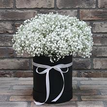 Цветочная композиция из Гипсофила в шляпной коробке в Аржановской