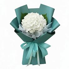 Букет цветов из:  Гортензия в Аржановской